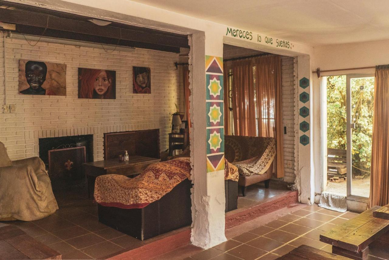 לה פדררה Piedra Alta Hostel & Suites מראה חיצוני תמונה