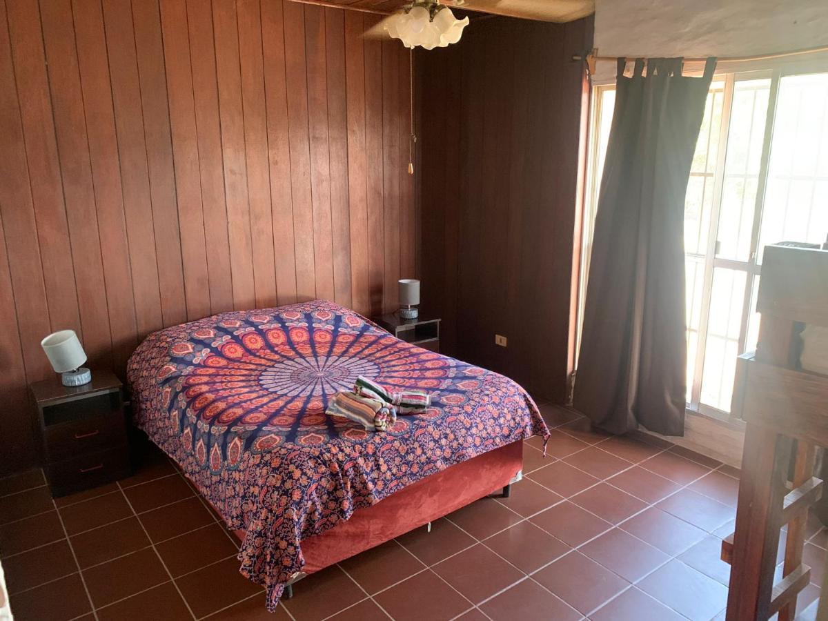 לה פדררה Piedra Alta Hostel & Suites מראה חיצוני תמונה